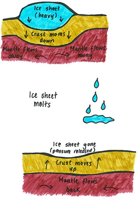 A diagram illustrating the process of isostatic rebound, where the Earth's crust responds to the pressure imposed by an ice sheet.